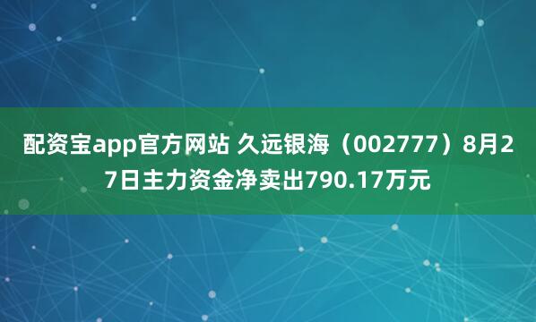 配资宝app官方网站 久远银海（002777）8月27日主力资金净卖出790.17万元