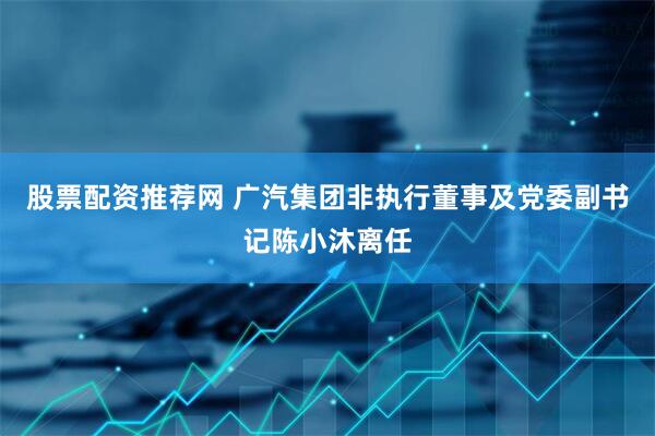 股票配资推荐网 广汽集团非执行董事及党委副书记陈小沐离任