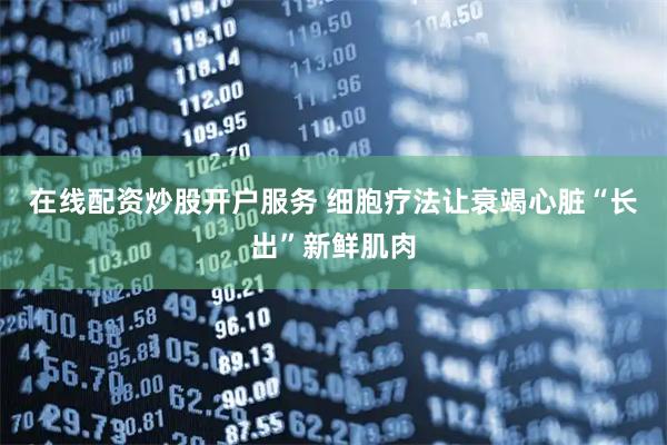 在线配资炒股开户服务 细胞疗法让衰竭心脏“长出”新鲜肌肉